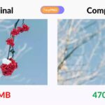 The Future of Image Compression with AI