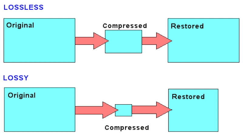lossy-vs-lossless-image-compression-in-2025